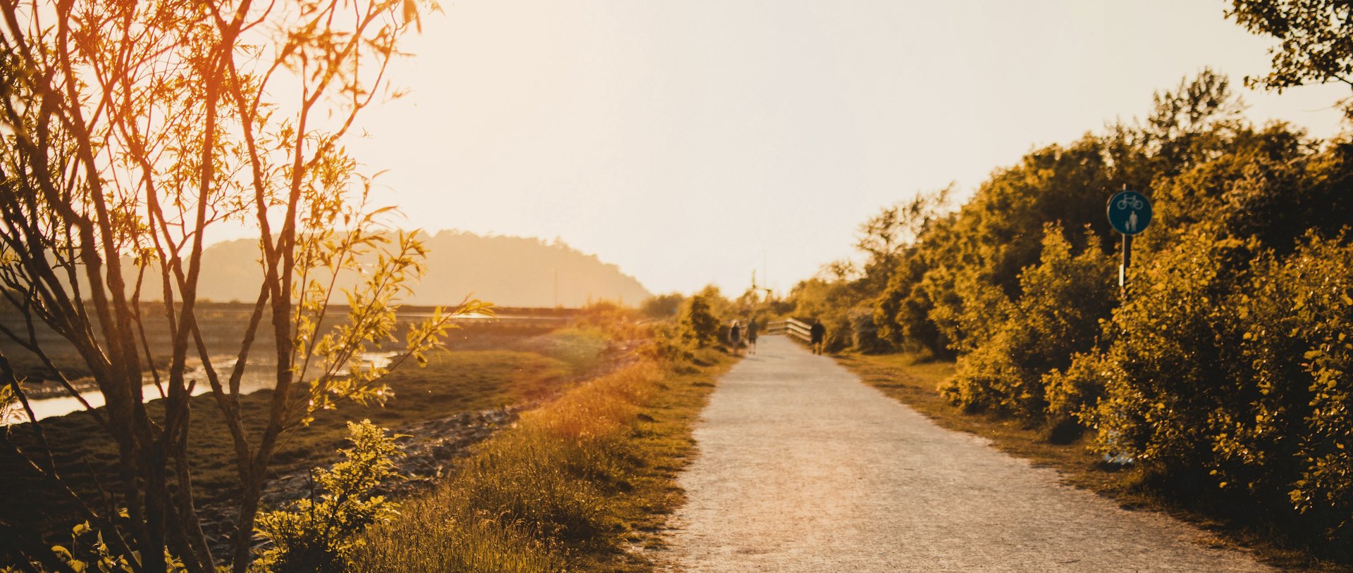 Caminho ao entardecer entre árvores douradas — trajetória e propósito